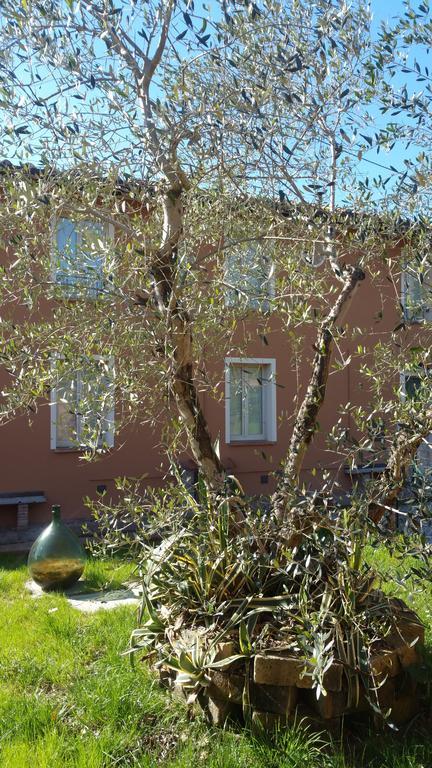 Ulivo Della Querce Villa Querce  Buitenkant foto
