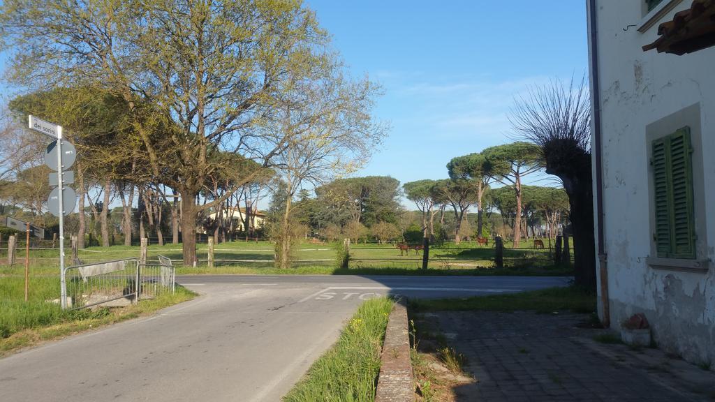 Ulivo Della Querce Villa Querce  Buitenkant foto