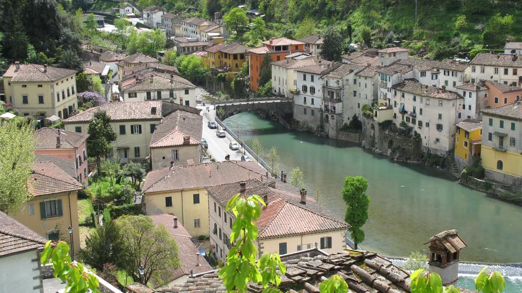 Ulivo Della Querce Villa Querce  Buitenkant foto