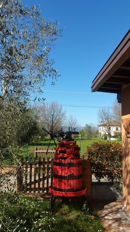 Ulivo Della Querce Villa Querce  Buitenkant foto
