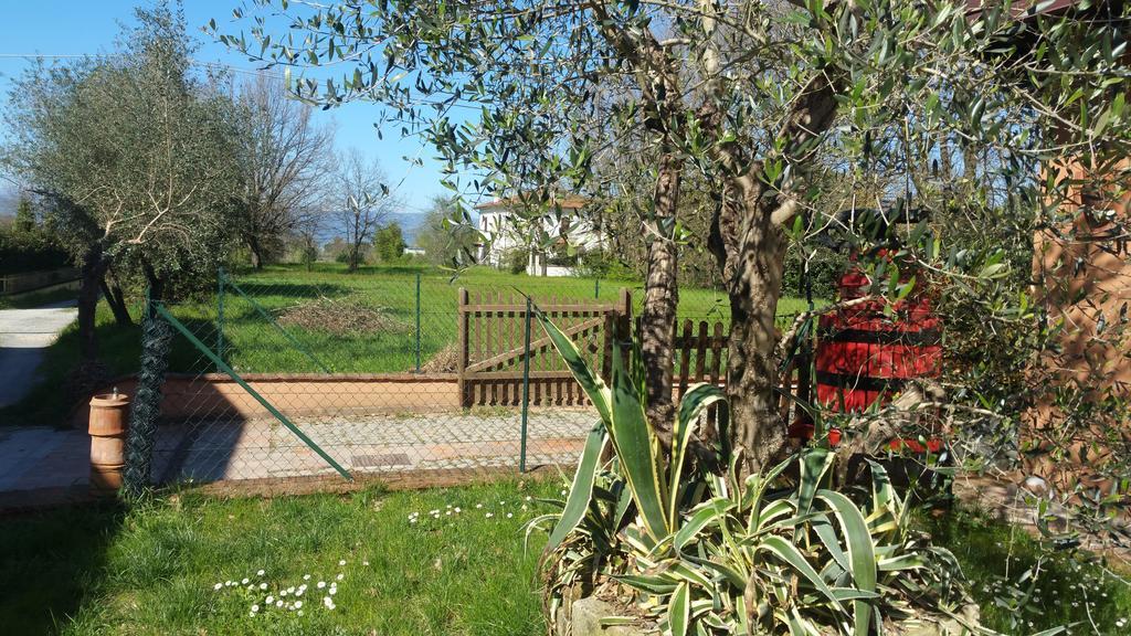 Ulivo Della Querce Villa Buitenkant foto